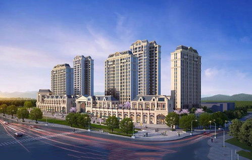 海南低密居所 普通住宅新盤價格解析與房產租賃市場概覽